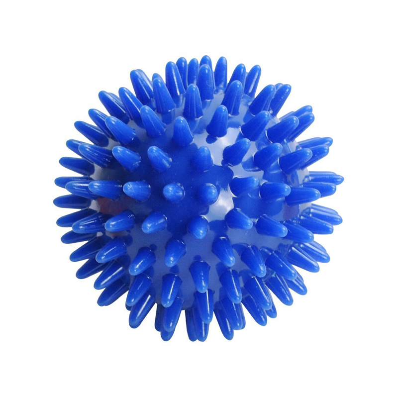 Hieronta piikkipallo